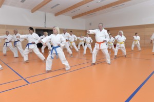 2015_06 Karatelehrgang Dörfles-Esbach 002