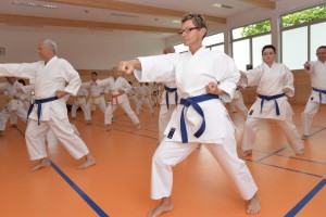 2015_06 Karatelehrgang Dörfles-Esbach 003