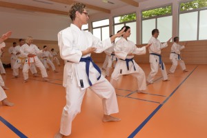 2015_06 Karatelehrgang Dörfles-Esbach 004