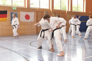 2015_06 Karatelehrgang Dörfles-Esbach 007