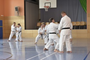 2015_06 Karatelehrgang Dörfles-Esbach 008