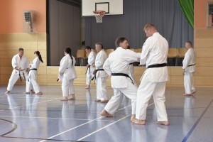 2015_06 Karatelehrgang Dörfles-Esbach 009