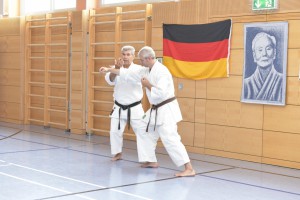 2015_06 Karatelehrgang Dörfles-Esbach 013