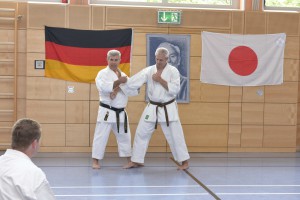 2015_06 Karatelehrgang Dörfles-Esbach 015