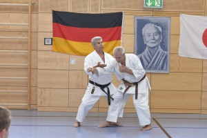 2015_06 Karatelehrgang Dörfles-Esbach 016