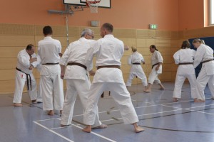 2015_06 Karatelehrgang Dörfles-Esbach 017