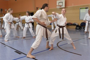 2015_06 Karatelehrgang Dörfles-Esbach 018