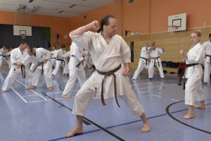 2015_06 Karatelehrgang Dörfles-Esbach 019