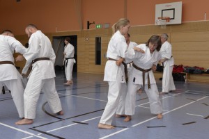 2015_06 Karatelehrgang Dörfles-Esbach 020