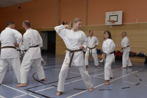 2015_06 Karatelehrgang Dörfles-Esbach 021