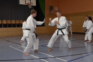 2015_06 Karatelehrgang Dörfles-Esbach 023