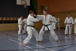 2015_06 Karatelehrgang Dörfles-Esbach 024