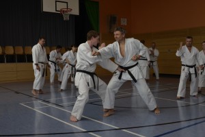 2015_06 Karatelehrgang Dörfles-Esbach 025