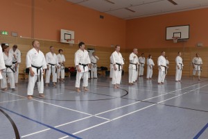 2015_06 Karatelehrgang Dörfles-Esbach 026
