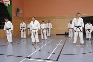 2015_06 Karatelehrgang Dörfles-Esbach 027