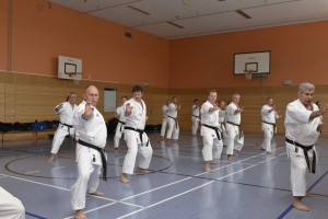 2015_06 Karatelehrgang Dörfles-Esbach 028