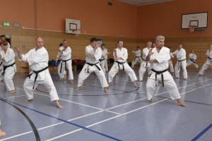 2015_06 Karatelehrgang Dörfles-Esbach 029