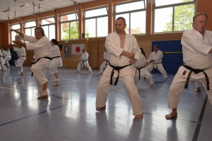 2015_06 Karatelehrgang Dörfles-Esbach 031