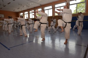 2015_06 Karatelehrgang Dörfles-Esbach 032