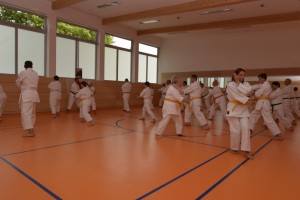 2015_06 Karatelehrgang Dörfles-Esbach 033