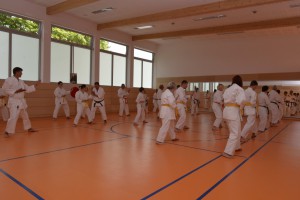2015_06 Karatelehrgang Dörfles-Esbach 034