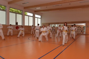2015_06 Karatelehrgang Dörfles-Esbach 035