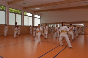 2015_06 Karatelehrgang Dörfles-Esbach 036