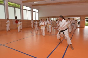 2015_06 Karatelehrgang Dörfles-Esbach 037