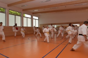 2015_06 Karatelehrgang Dörfles-Esbach 038