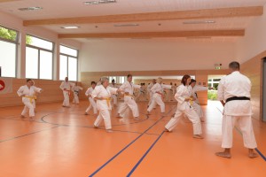 2015_06 Karatelehrgang Dörfles-Esbach 039