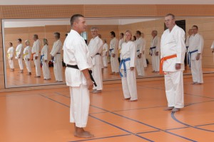 2015_06 Karatelehrgang Dörfles-Esbach 041
