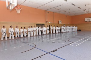 2015_06 Karatelehrgang Dörfles-Esbach 043