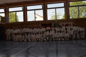 2015_06 Karatelehrgang Dörfles-Esbach 050