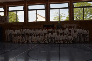 2015_06 Karatelehrgang Dörfles-Esbach 052