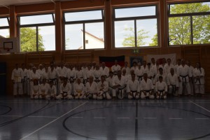 2015_06 Karatelehrgang Dörfles-Esbach 054
