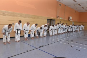2015_06 Karatelehrgang Dörfles-Esbach 056