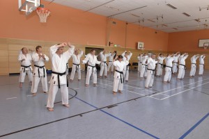 2015_06 Karatelehrgang Dörfles-Esbach 057
