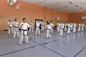2015_06 Karatelehrgang Dörfles-Esbach 059