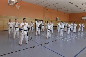 2015_06 Karatelehrgang Dörfles-Esbach 060