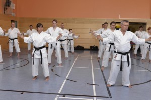 2015_06 Karatelehrgang Dörfles-Esbach 064