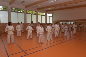 2015_06 Karatelehrgang Dörfles-Esbach 065