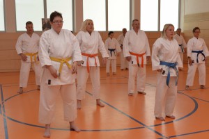 2015_06 Karatelehrgang Dörfles-Esbach 066
