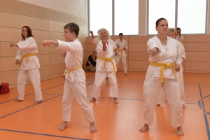 2015_06 Karatelehrgang Dörfles-Esbach 067