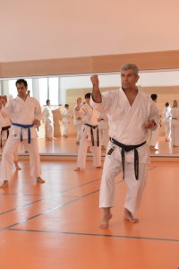 2015_06 Karatelehrgang Dörfles-Esbach 069