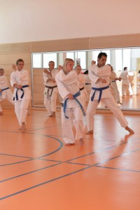 2015_06 Karatelehrgang Dörfles-Esbach 070