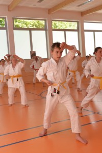 2015_06 Karatelehrgang Dörfles-Esbach 071
