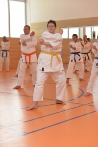 2015_06 Karatelehrgang Dörfles-Esbach 072