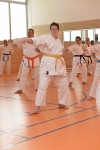 2015_06 Karatelehrgang Dörfles-Esbach 073