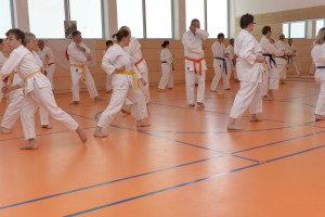 2015_06 Karatelehrgang Dörfles-Esbach 076
