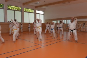 2015_06 Karatelehrgang Dörfles-Esbach 077